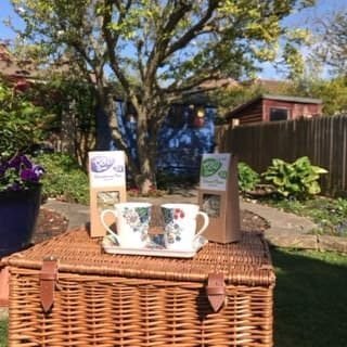 Health Wellness Products